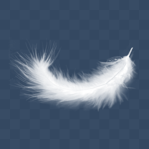 Fluff Hd Transparent, A Pattern Of White Fluff, Villus, White, Hair PNG  Image For Free Download