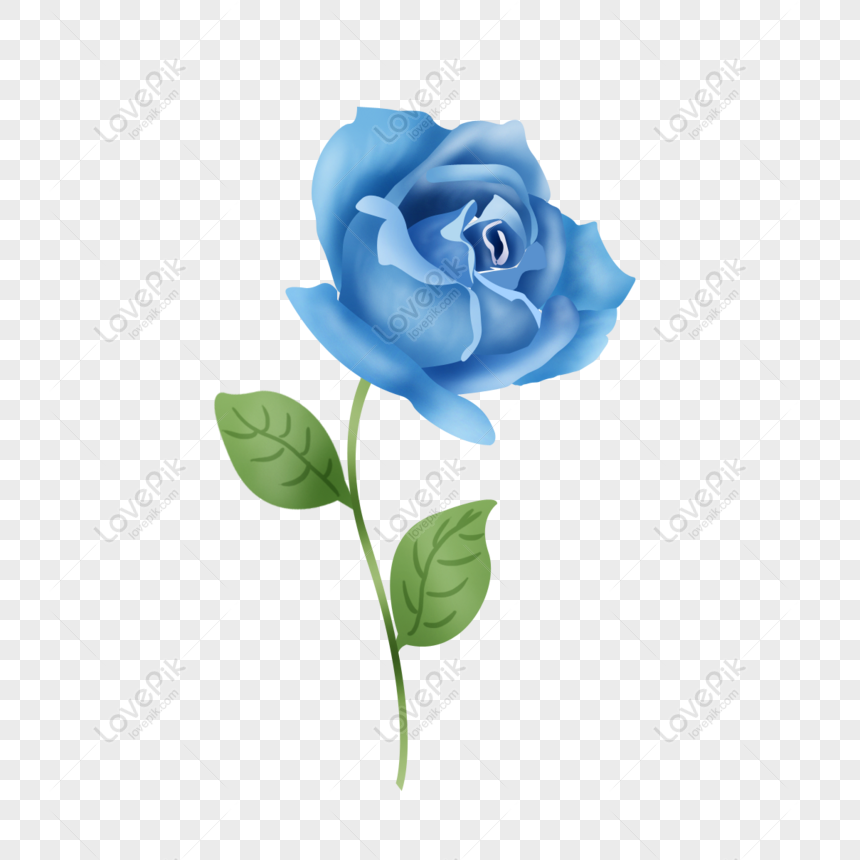 Gratis Vector Dibujado A Mano Flor Rosa Azul PNG & PSD descarga de imagen _  talla 1181 × 1181px, ID 832506626 - Lovepik