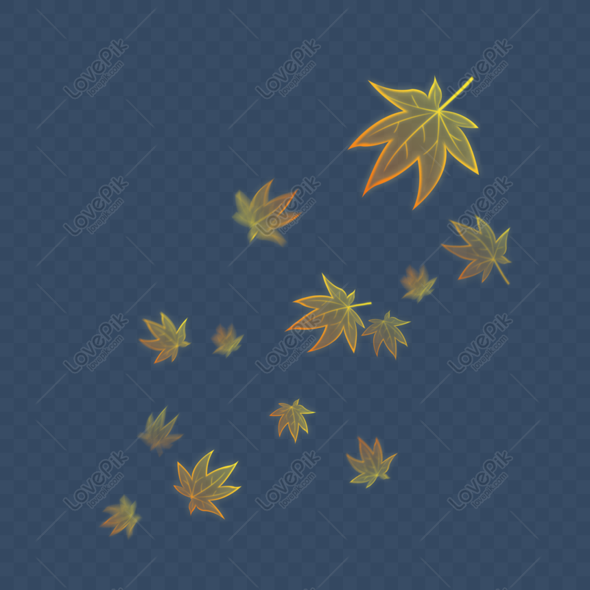 Floating Maple Leaves PNG Images & PSDs for Download