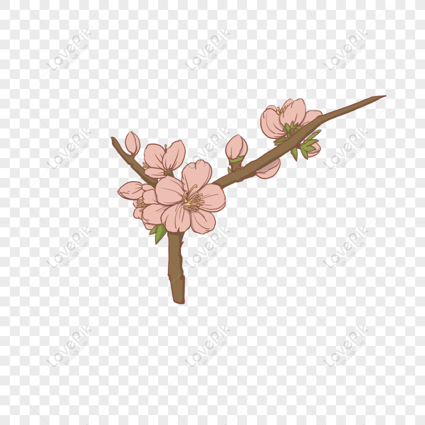 Free Hand Painted Pink Flower Peach Flower PNG Hd Transparent Image PNG &  PSD image download - Lovepik