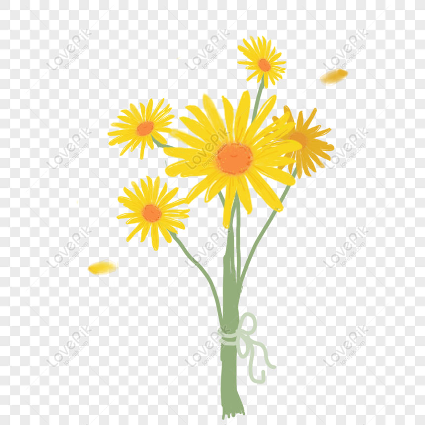 Sự kết hợp tinh tế giữa màu vàng và hoa cúc sẽ khiến bạn không thể rời mắt khỏi hình ảnh này. Bạn sẽ bị cuốn vào vẻ đẹp đầy nắng vàng của hoa cúc và cảm nhận được niềm vui tươi mới chớm nở.
