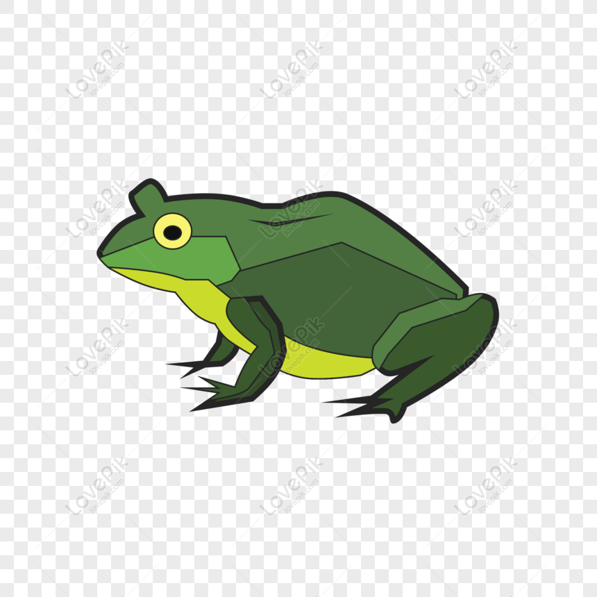 Hình ảnh ếch Cóc Xanh PNG , Con ếch, Con Cóc, Màu Xanh Lá PNG trong suốt và  Vector để tải xuống miễn phí