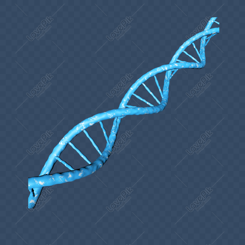свободно ДНК цепь C4d материал ДНК материал 3d синий PNG & PSD изображения  скачать _ размер 2000 × 2000 px, ID 832683477 - Lovepik