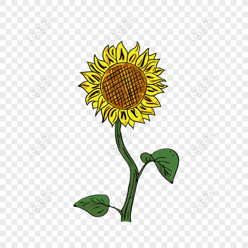 Free Hand Drawn Cartoon Plant Sunflower PNG Transparent Background PNG & AI  image download - Lovepik