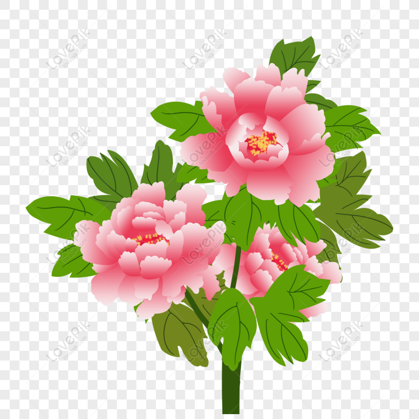 Những bông hoa mẫu đơn màu hồng mềm mại và tinh tế sẽ mang đến cho bạn cảm giác yên bình và thanh thản. Dù nhìn chúng ở đâu, bạn sẽ luôn cảm thấy tràn đầy sự tươi mới và niềm vui.