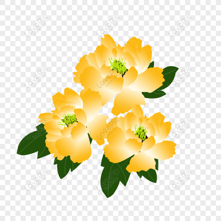 Hoa peony vàng (Yellow peony flowers): Hoa peony vàng tươi sáng cùng làn gió nhẹ nhàng tạo nên một khoảnh khắc hoàn hảo cho bất cứ ai yêu thích thiên nhiên. Hãy ngắm nhìn vẻ đẹp tuyệt vời của hoa peony vàng trong hình ảnh để thấy rõ sức hút khó cưỡng của chúng!