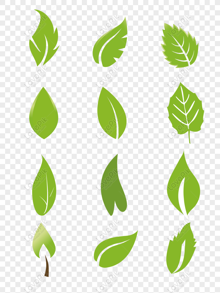 Small Green Leaves Vector Element Image PNG Free Download...