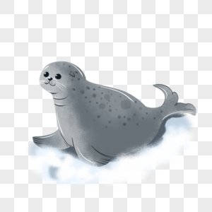 International Seal Festival Hand Drawn Cartoon Seal PNG Picture PSD ...