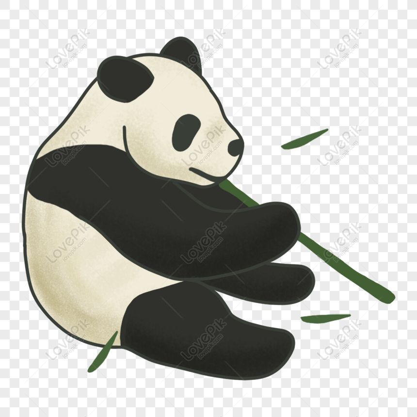 Free Cute Fat Panda Sitting And Eating Bamboo PNG Transparent Image PNG ...