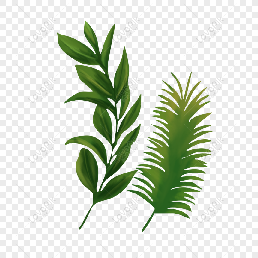 Free Hand Painted Watercolor Plant Cartoon Transparent Material Free PNG PNG  & PSD image download - Lovepik