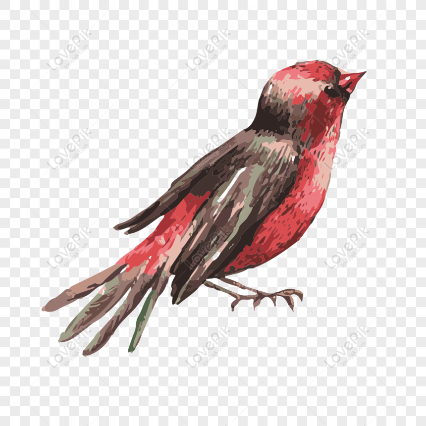 Gratis Elemento Animal De Dibujos Animados Lindo Pájaro PNG & PSD descarga  de imagen _ talla 1024 × 1024px, ID 833498173 - Lovepik