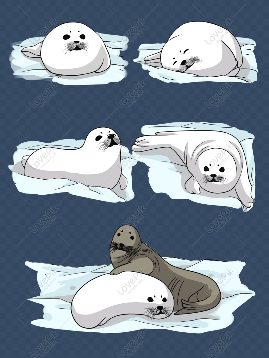 Free Hand Painted Original Cartoon Design Material Cute Animal Seal C PNG  White Transparent PNG & PSD image download - Lovepik