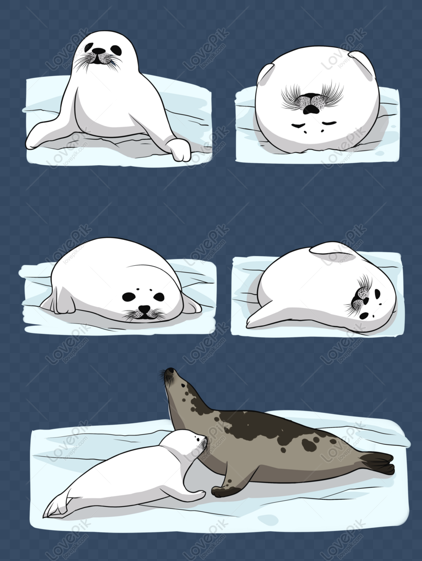 Free Hand Painted Original Cartoon Design Material Cute Animal Seal C PNG  Transparent Image PNG & PSD image download - Lovepik