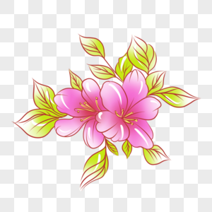 Peach Floral PNG Images With Transparent Background | Free Download On ...