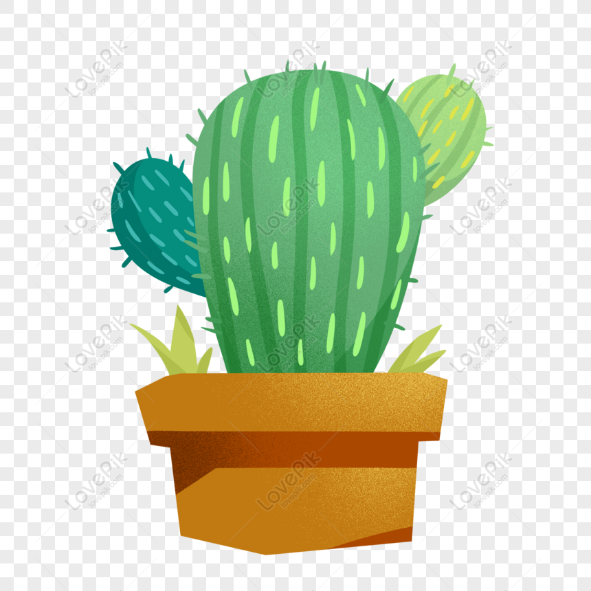 Hand Drawn Cactus PNG Transparent, Hand Drawn Cartoon Succulent And Cactus  Elements, Cactus, Hand Painted, Cartoon PNG Image For Free Download