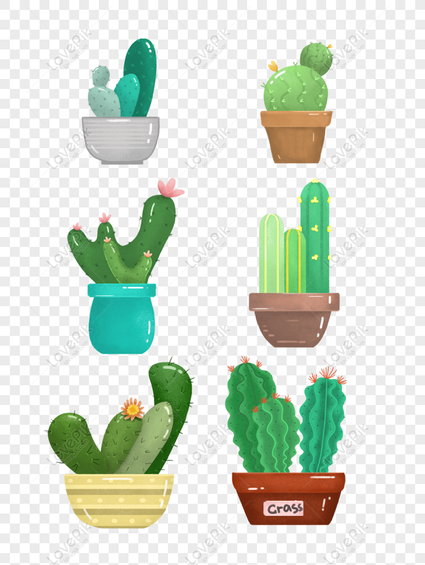 Free Cartoon Cactus Plant Pots Available For Commercial Use PNG Transparent  Background PNG & PSD image download - Lovepik