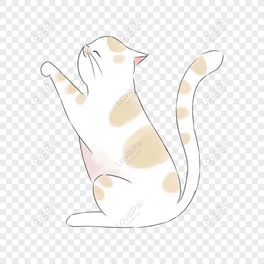 Free Hand Painted Cute Selling Cute Cat Transparent Material PNG ...