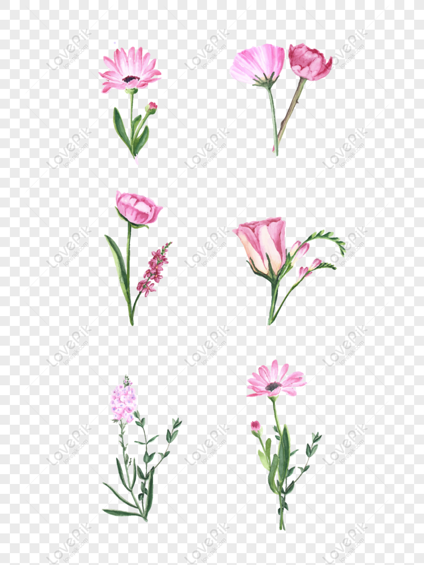 Free Warm Small Flowers Decorative Background Element PNG Transparent ...