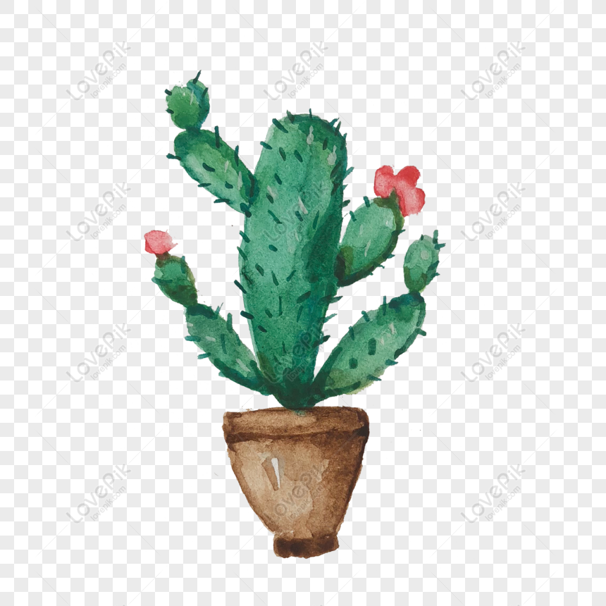 Pintados à Mão, Verde, Cactus PNG, A Flor Do Cacto Imagens
