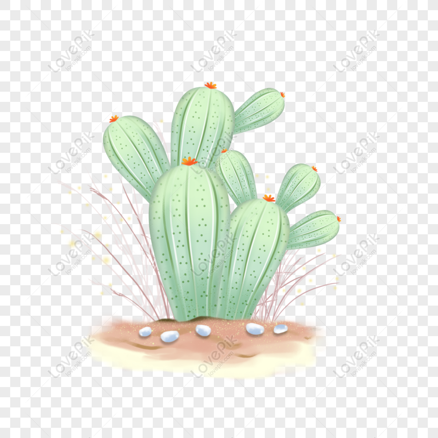 Free Hand Drawn Elements Cute Cartoon Fresh Cactus Plant Flower ...