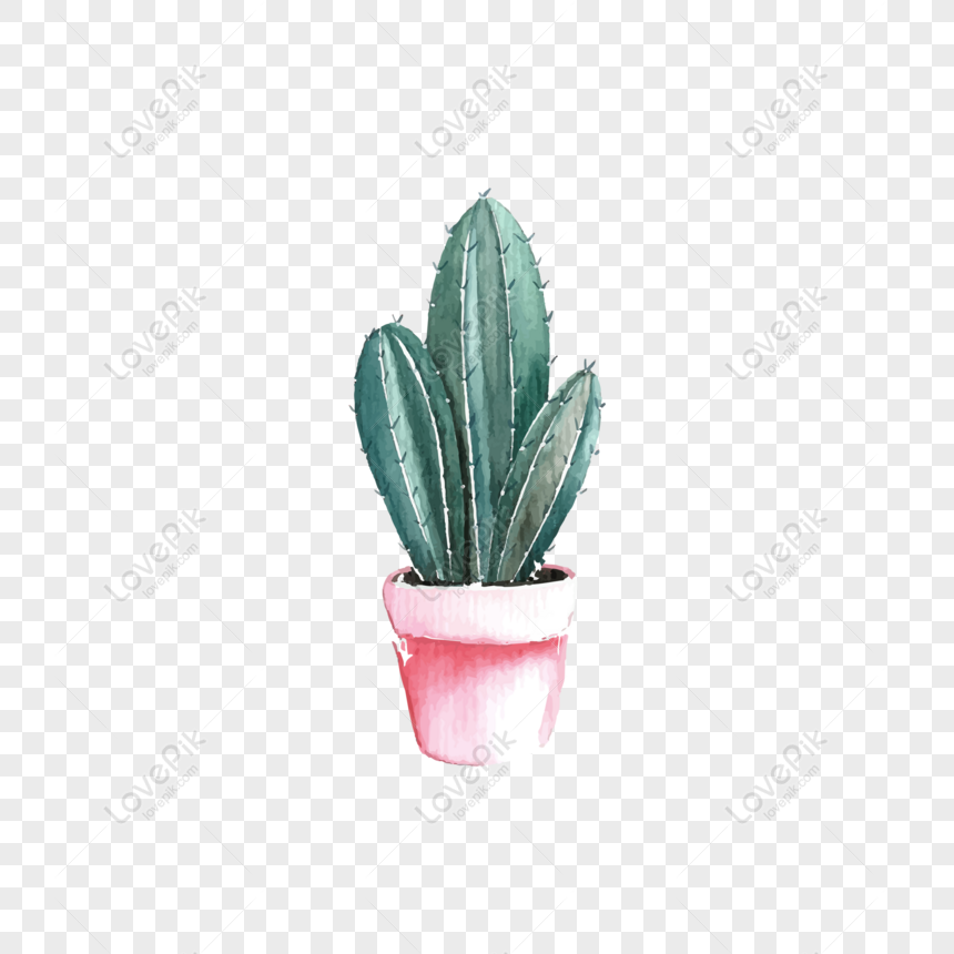 Hand Drawn Cactus PNG Transparent, Hand Drawn Cartoon Succulent And Cactus  Elements, Cactus, Hand Painted, Cartoon PNG Image For Free Download