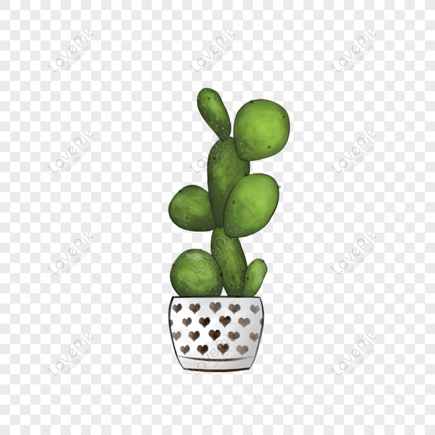 Free Hand Drawn Cartoon Cactus Plant Elements For Commercial Use Free PNG  PNG & PSD image download - Lovepik