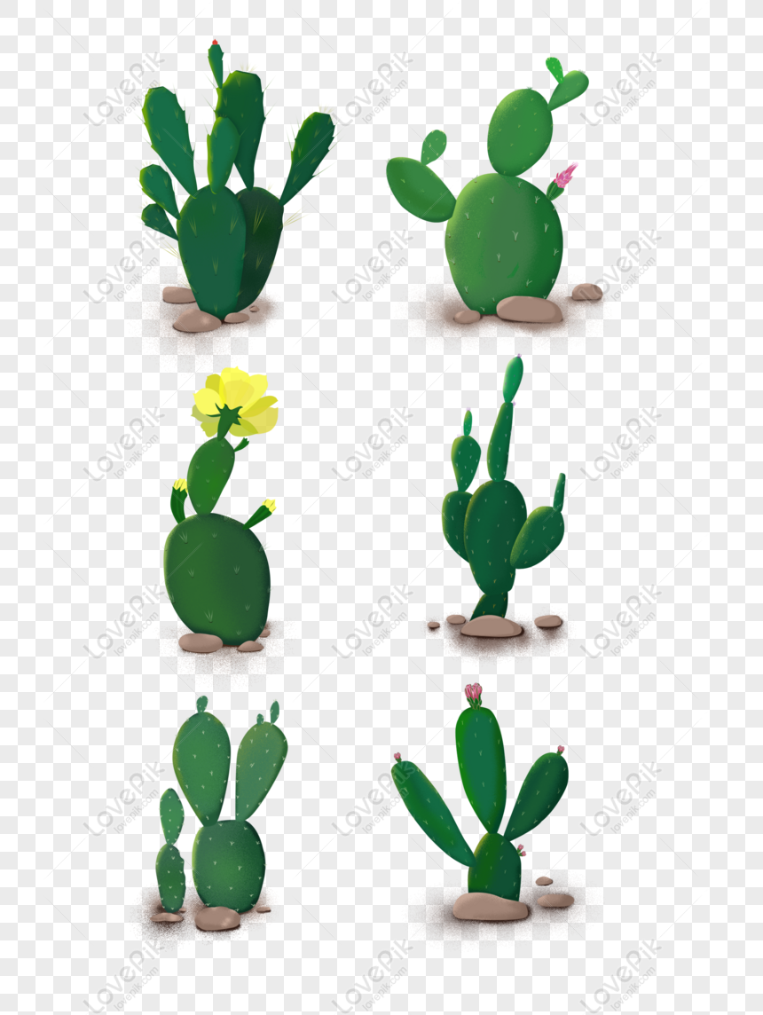 Gratis Cactus Flor Verde Pequeña Combinación De Elementos Frescos Pinta PNG  & PSD descarga de imagen _ talla 2048 × 2738px, ID 833547526 - Lovepik