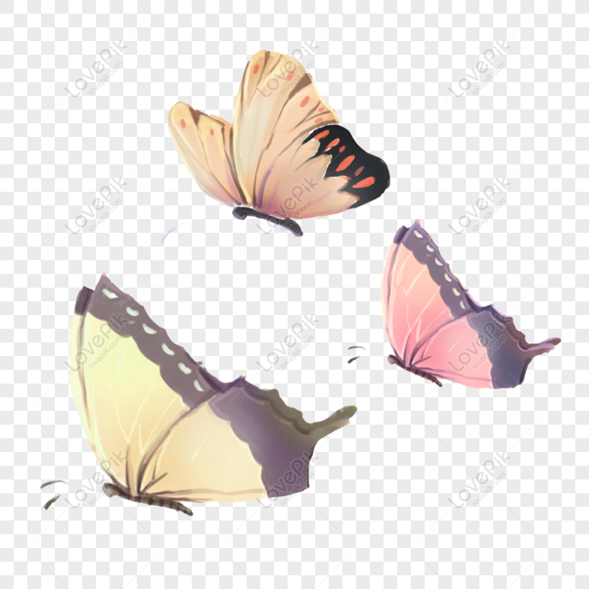 Free Cute Cartoon Butterfly Png Element PNG Transparent Image PNG & PSD  image download - Lovepik