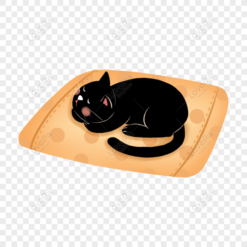Hình ảnh Dễ Thương Vật Nuôi Mèo đen Png Yếu Tố PNG Miễn Phí Tải Về ...