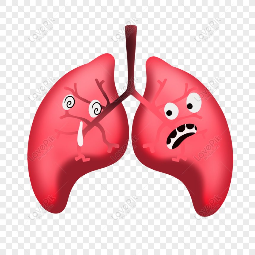 Free No Smoking Element Internal Organs Cartoon Lungs Human Body PNG  Transparent Image PNG & PSD image download - Lovepik