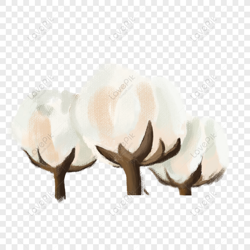 Free Blooming White Cotton Cartoon Design Element PNG Free Download PNG ...