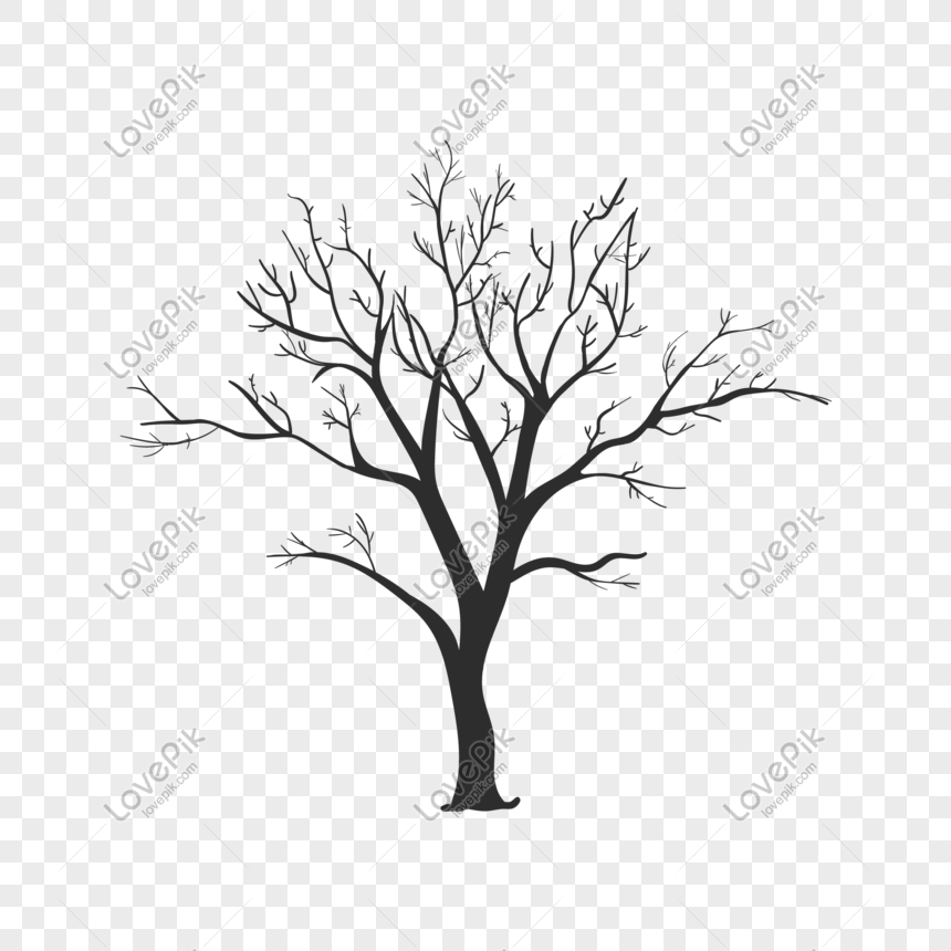 Spooky dry branches vector, Spooky dry branches vector, eps, white png transparent background