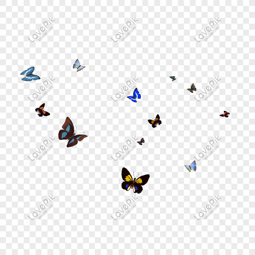 butterfly fly vector material source file png image picture free download 716992140 lovepik com butterfly fly vector material source