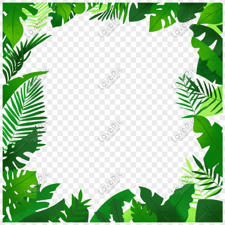 Tropical rainforest leaves border picture, tropical, rainforest, leaves free png