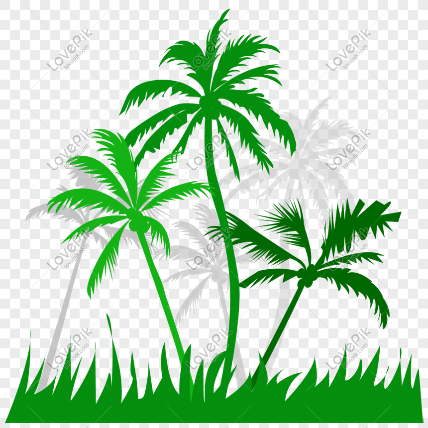 Coconut tree silhouette, Coconut tree silhouette, sunset, coconut tree png hd transparent image