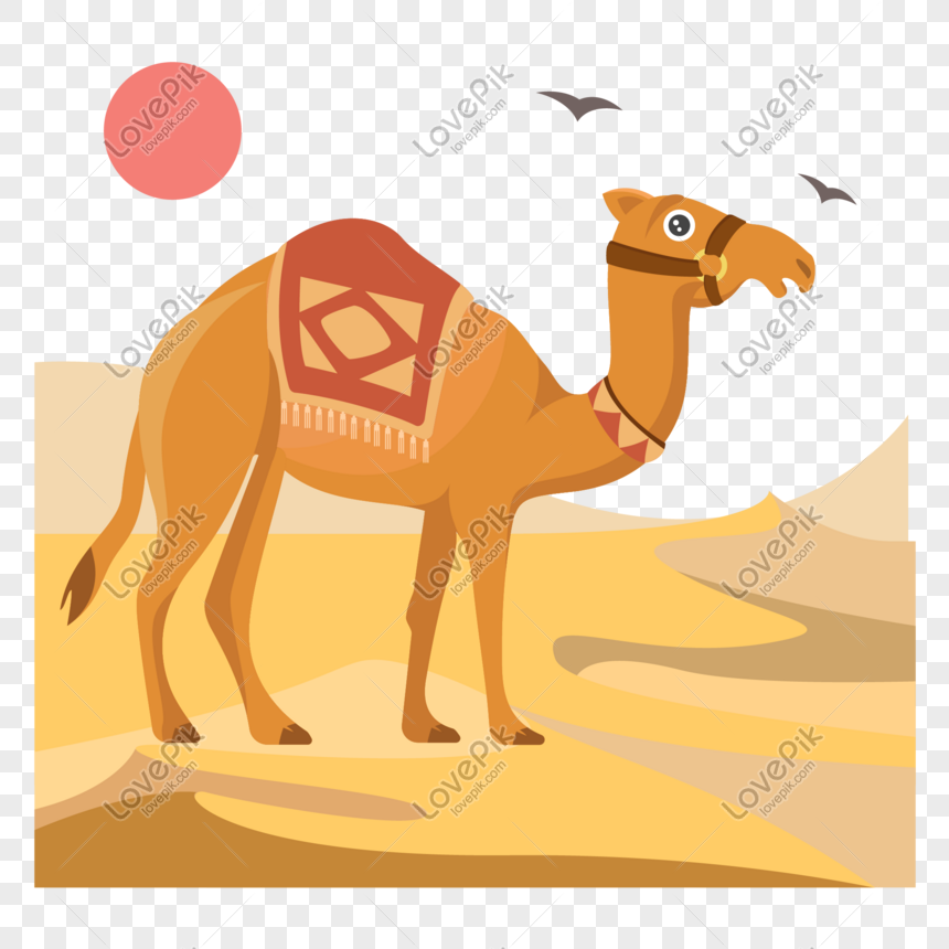 Cartoon Camel Picture PNG Picture And Clipart Image For Free Download -  Lovepik | 719855645