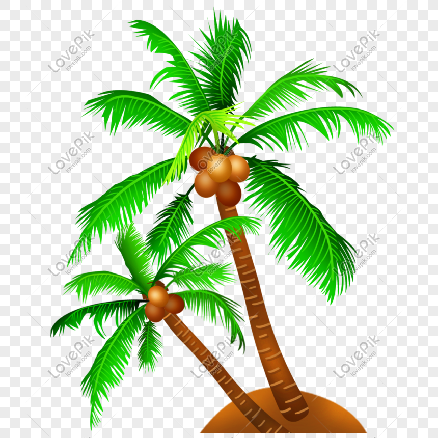 ilustrasi pokok kelapa gambar unduh gratis imej 726347301 