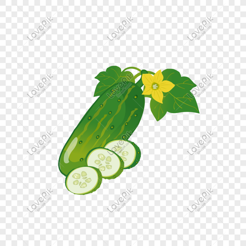 Cartoon Cucumber Images, HD Pictures For Free Vectors & PSD Download -  