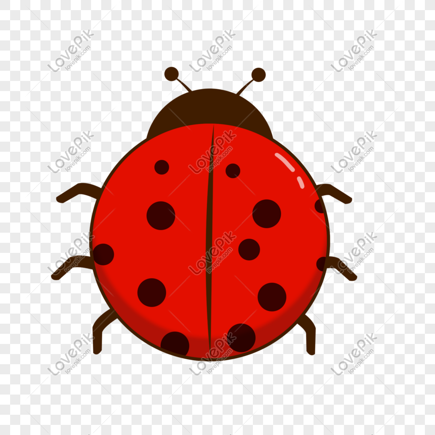 Lady Bug PNG, Vector, PSD, and Clipart With Transparent Background for Free  Download