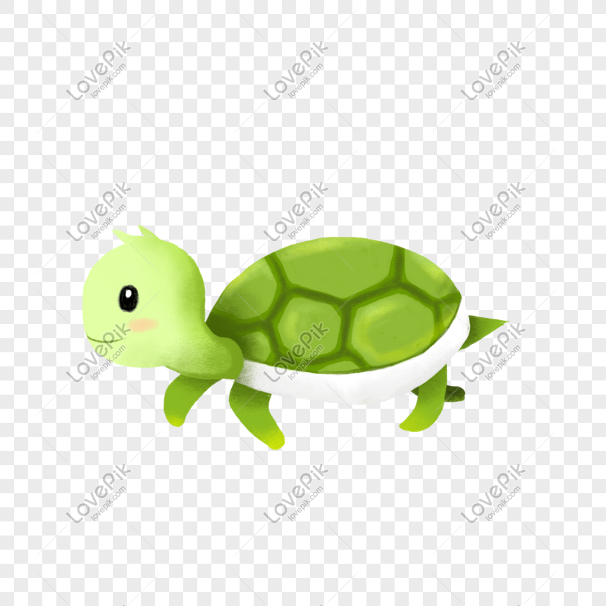 Rùa là một trong những con vật rất linh hoạt và độc đáo. Hình ảnh rùa đáng yêu với vỏ sò màu xanh lá sẽ khiến bạn thích thú và muốn xem thêm nhiều hình ảnh của loài động vật này.