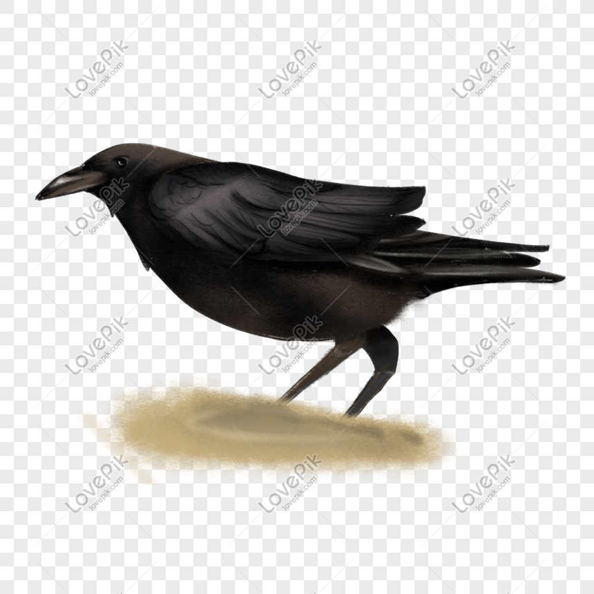 Dark Crow Png là sự kết hợp giữa quạ đen bí hiểm và các hiệu ứng ánh sáng đẹp mắt. Những hình ảnh này chắc chắn sẽ làm bạn say mê và khám phá sự độc đáo của quạ đen. Click vào hình để xem thêm!