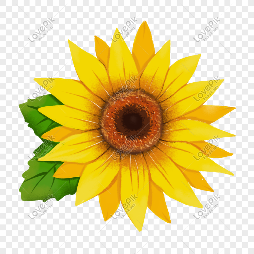 Wow 14+ Gambar Kartun Bunga Matahari - Koleksi Bunga HD