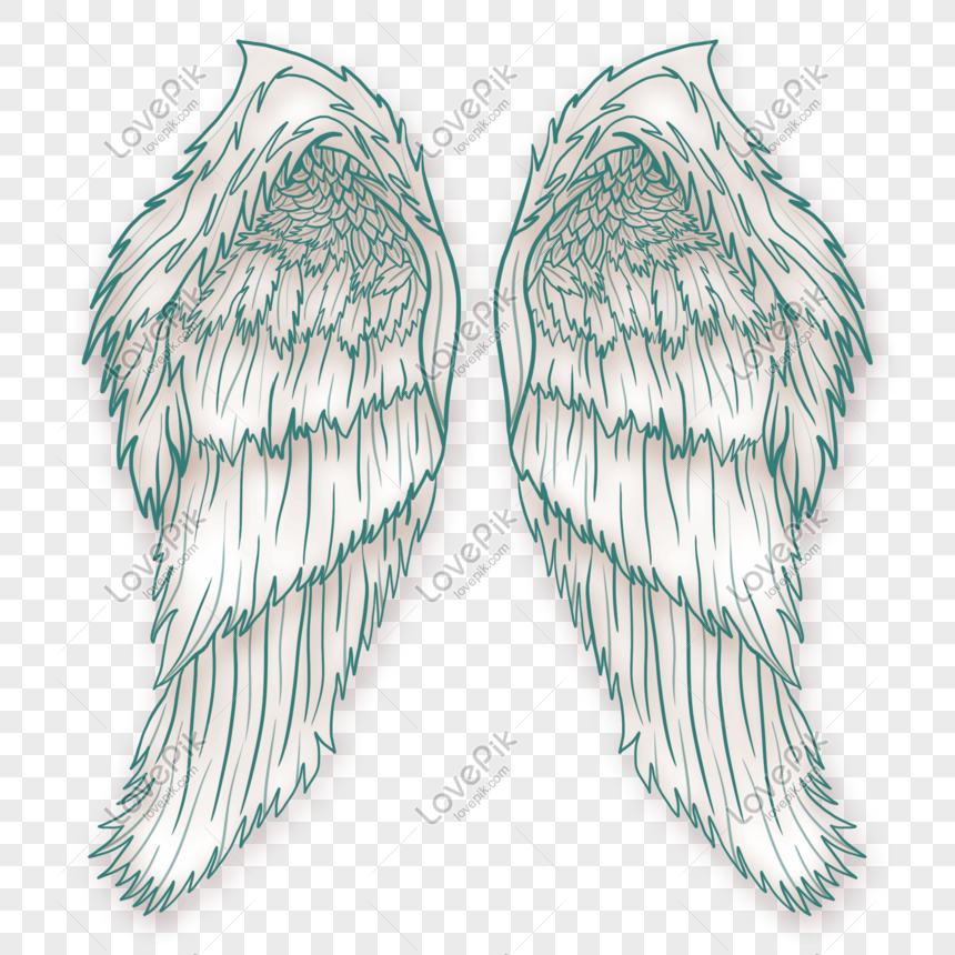 beautiful angel wings png