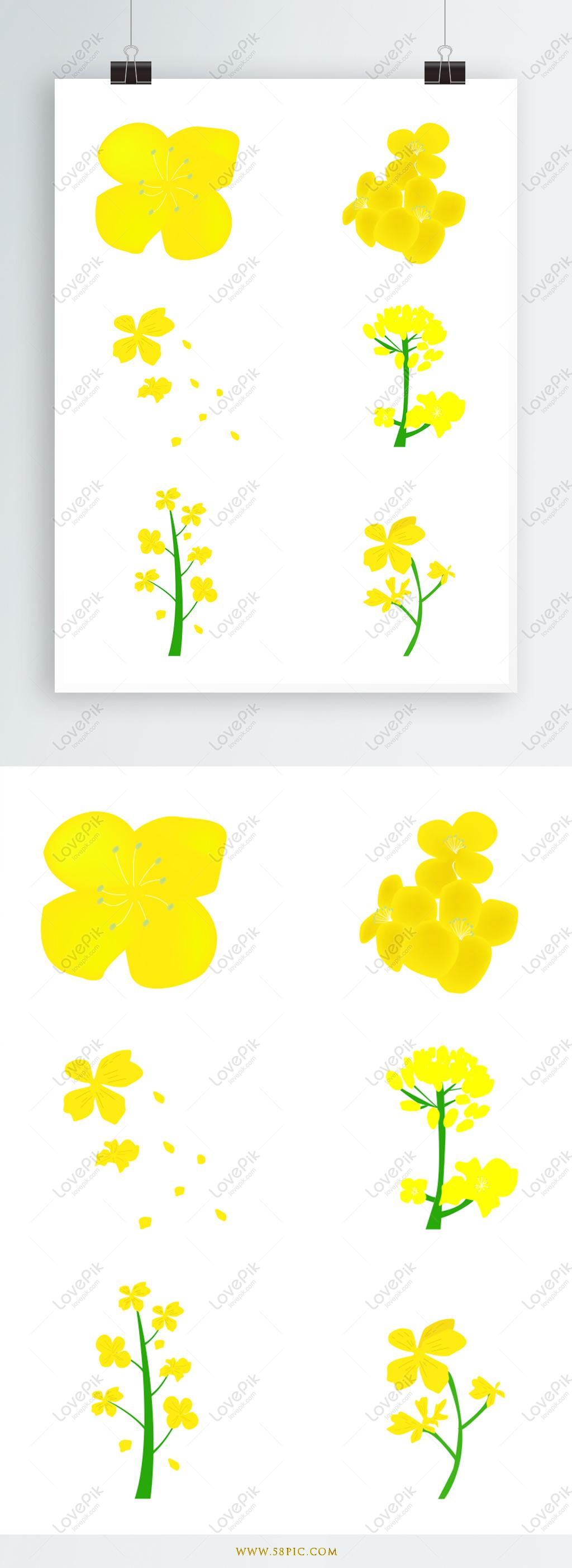 Tropical Flower Calla Hand Drawing Lilium Floral Logo Tattoo Highly Stock  Vector by ©AcantStudio 477802964