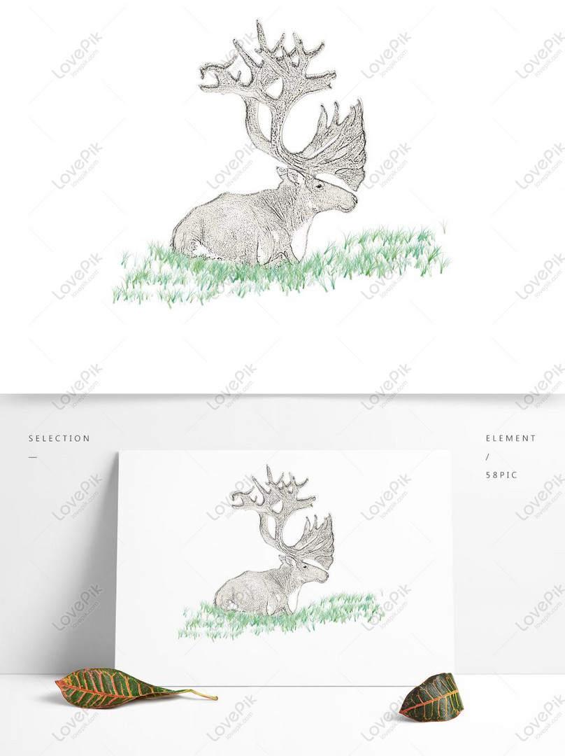 Deer Eye Drawings for Sale - Fine Art America