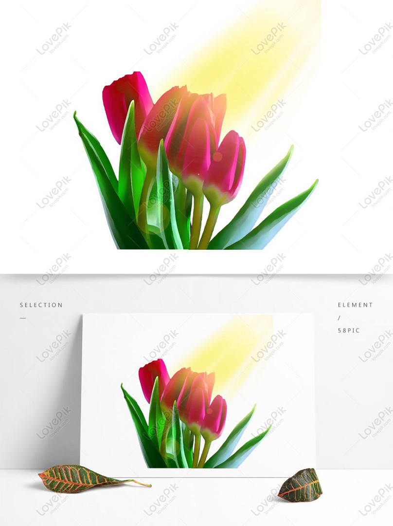 Ilustrasi Cat Air Tulip Yang Digambar Tangan Gambar Unduh Gratis