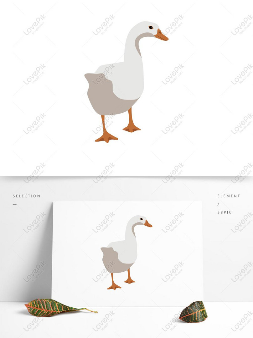 33++ Gambar Burung Kartun Mudah - Koleksi Kartun