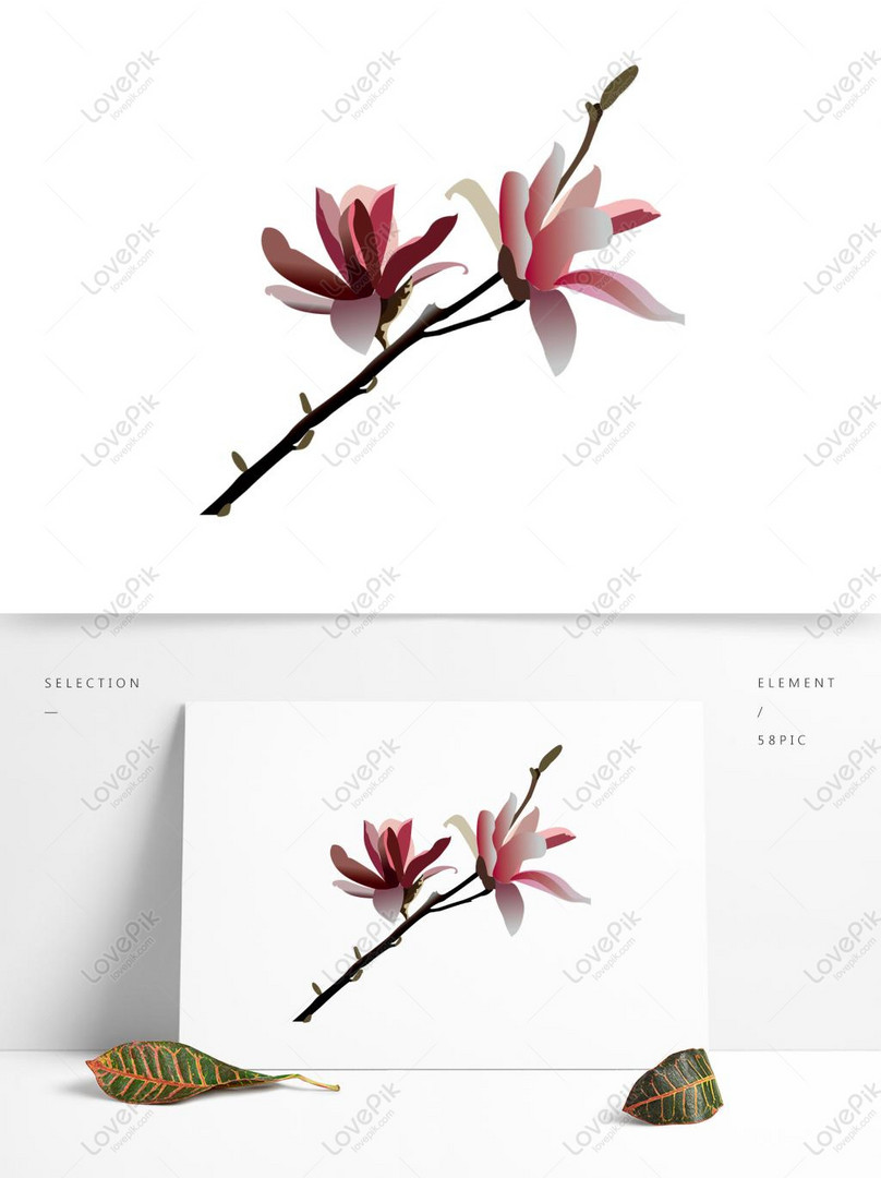 Planta Flor Color Sencillo Natural PNG Imágenes Gratis - Lovepik