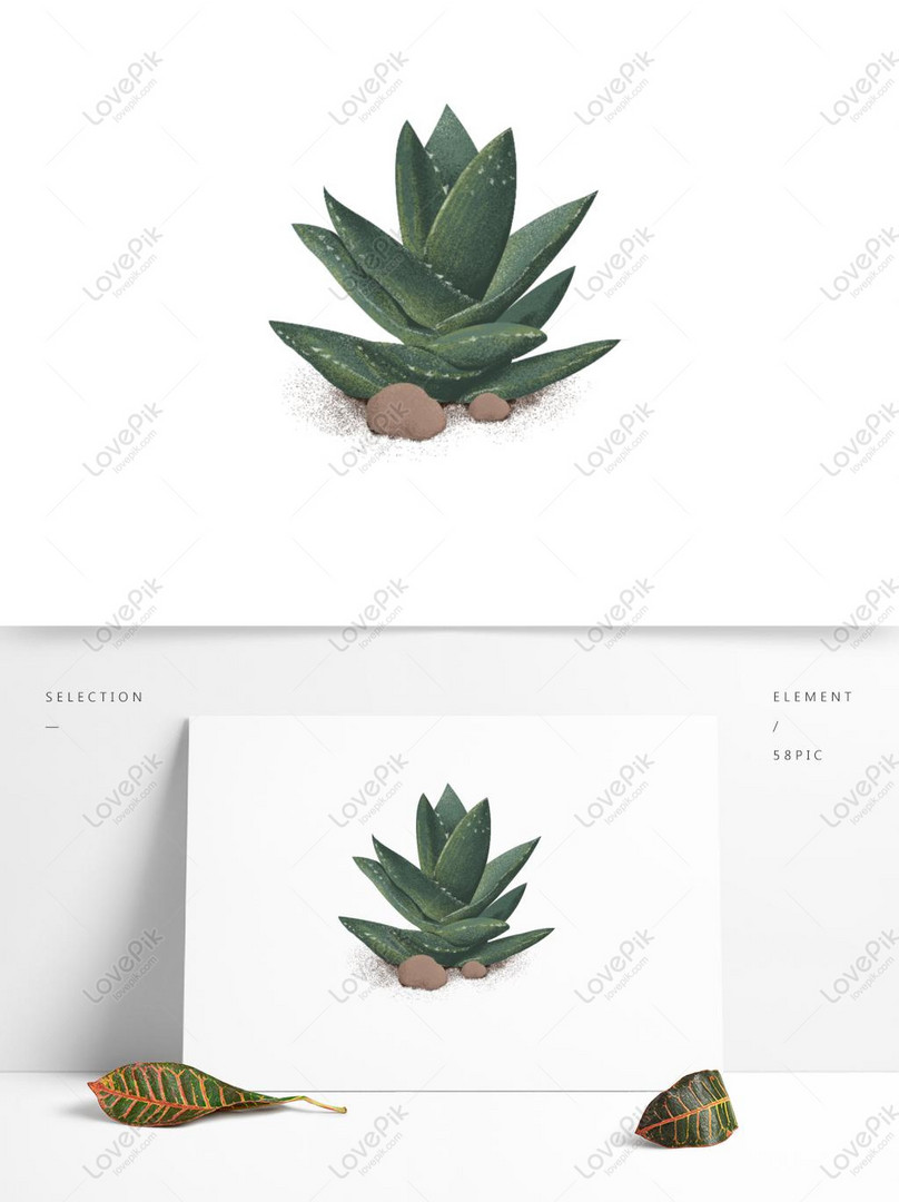 緑の手描きの植物アロエベラのイラスト素材イメージ グラフィックス Id Prf画像フォーマットpsd Jp Lovepik Com
