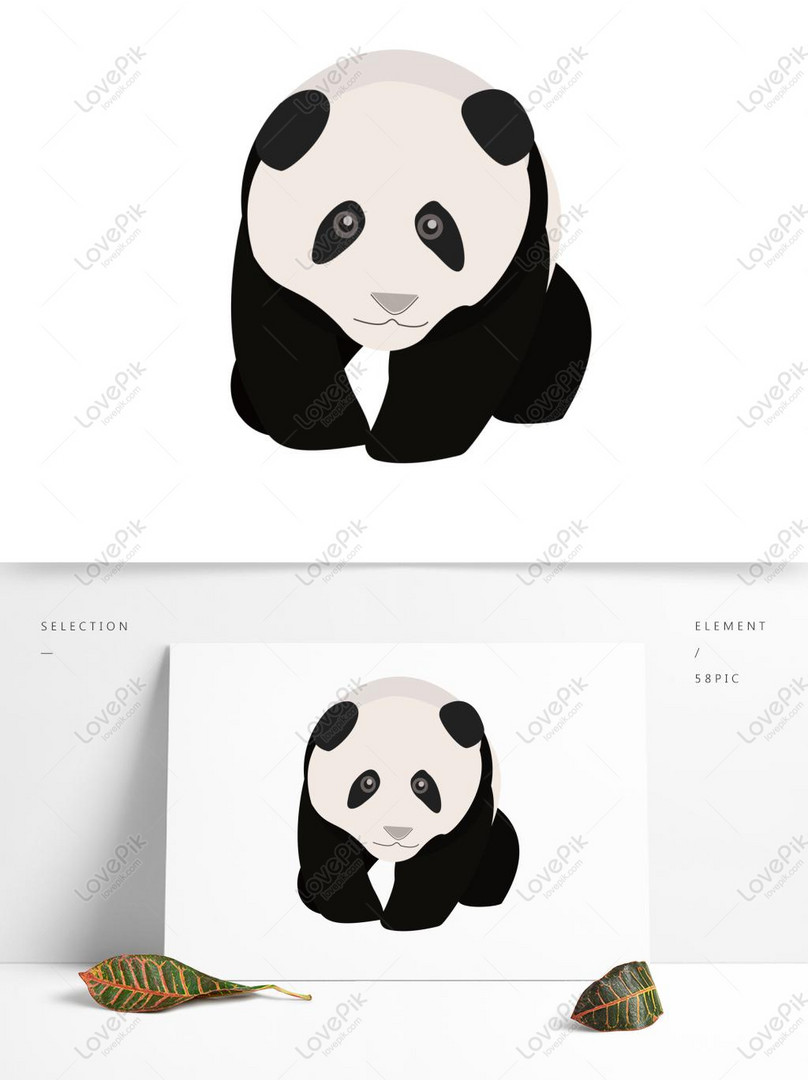 Photo De Trésor National Panda Animal Mignon Vecteur Noir Et